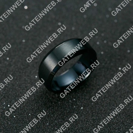 Мужское кольцо из титана с черным камнем 7 US (17.3 RU) 1352342 titan black