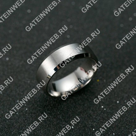 Мужское кольцо из титана с серебристым камнем 9 US (18.9 RU) 1352342 titan silver